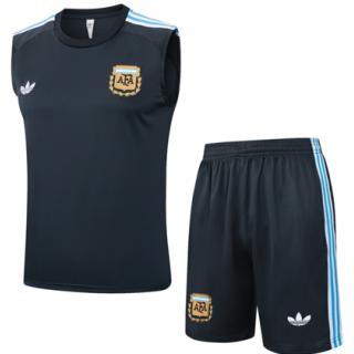 Conjunto de camiseta del Argentina 2025/26 -Grey